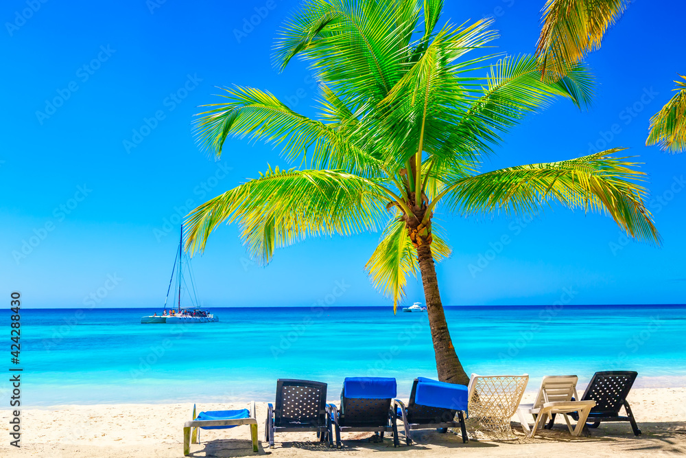 Palm trees with lounge chairs on the caribbean tropical beach. Saona Island, Dominican Republic. Vacation travel background