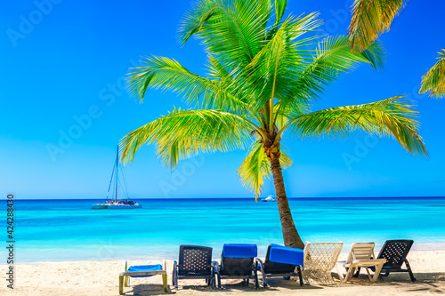 Palm trees with lounge chairs on the caribbean tropical beach. Saona Island, Dominican Republic. Vacation travel background © Nikolay N. Antonov