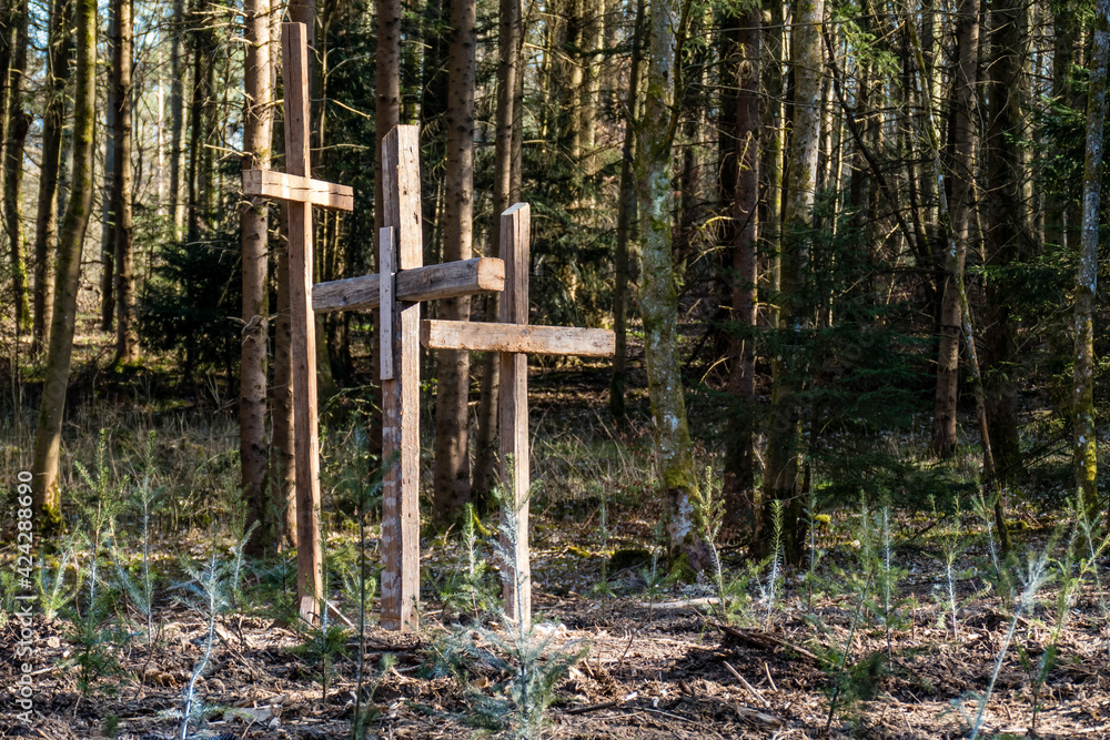 Christliche Holzkreuze im wiederaufforstenden Wald Christliche Holzkreuze im wiederaufforstenden Wald