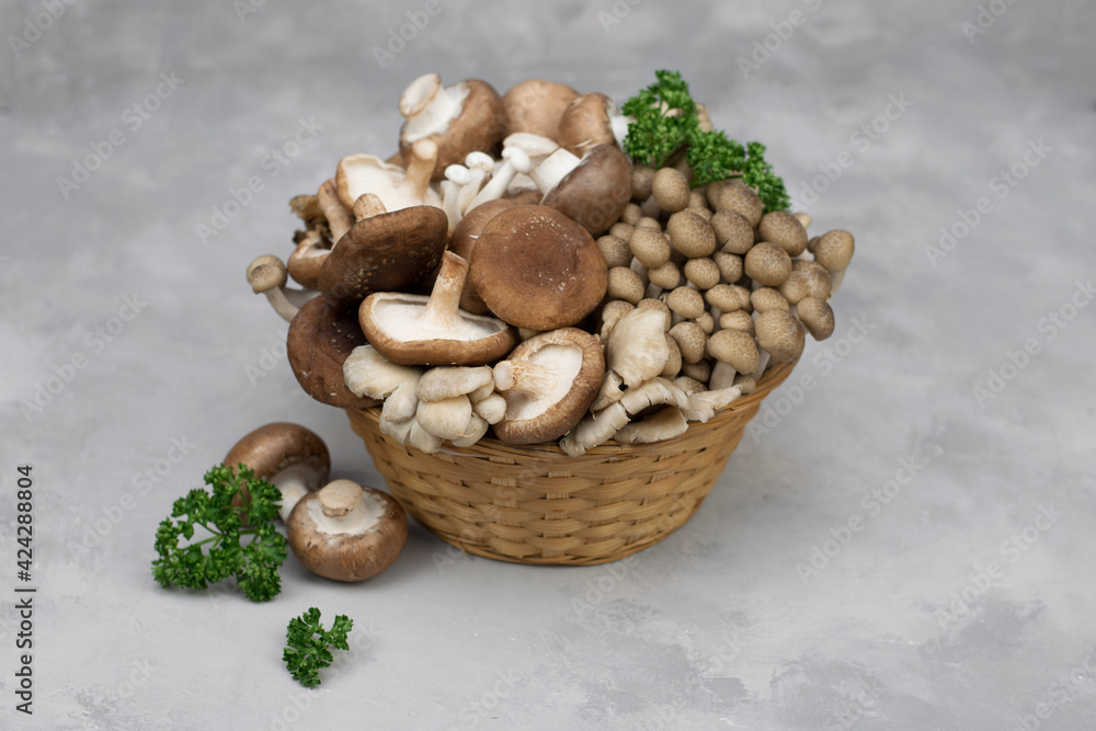 Variety of uncooked wild forest mushrooms in a basket isolated on gray background. Variety of uncooked wild forest mushrooms in a basket isolated on gray background.