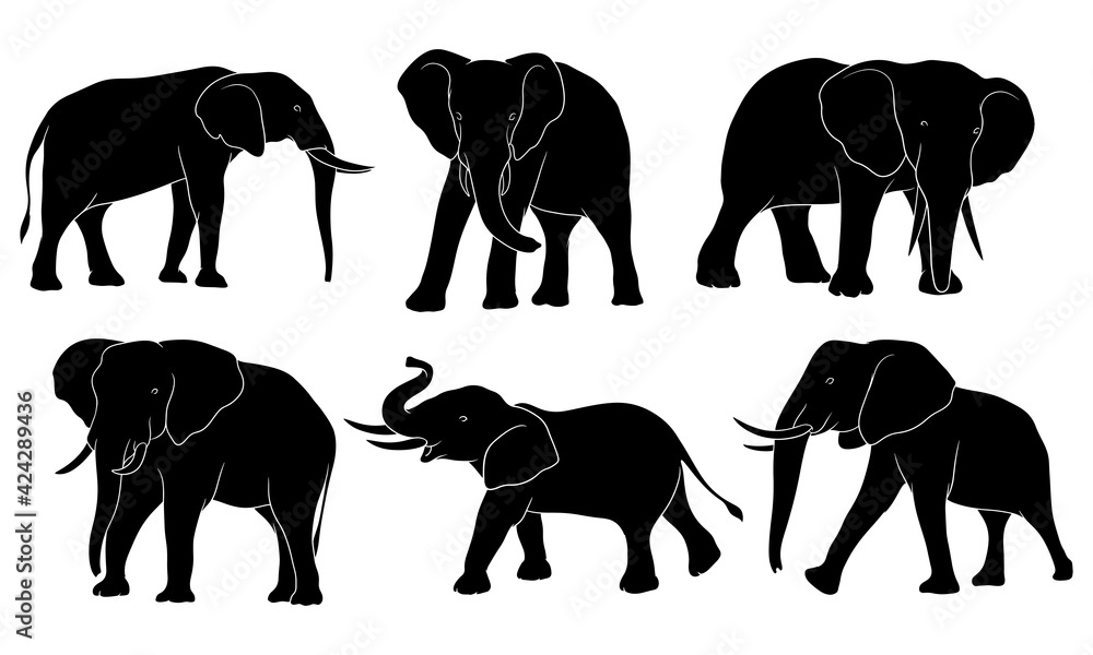 hand drawn silhouette of elephant