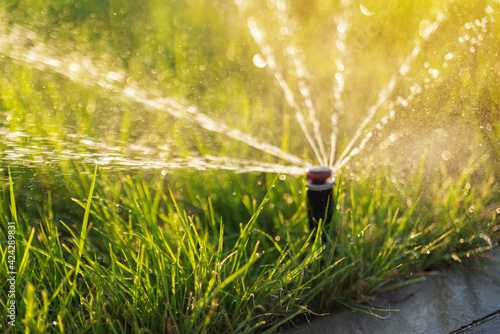 Green lawn irrigation with automatic sprinkler irrigation system. Blurred selective focus.