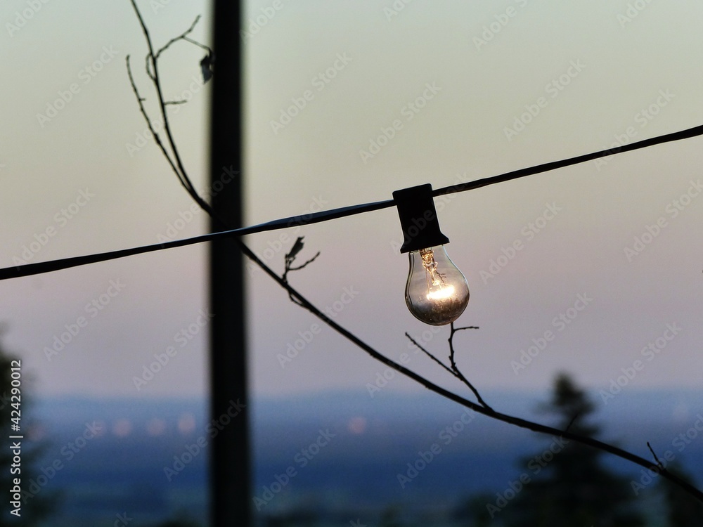 Obraz premium light bulb fairy light at sunset