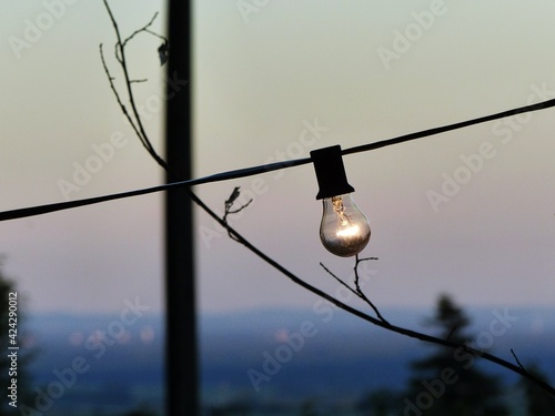 light bulb fairy light at sunset