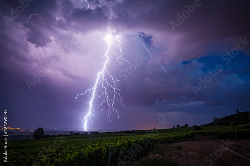 Éclair lors d’un orage au dessus des vignes de Meursault, en Bourgogne photo