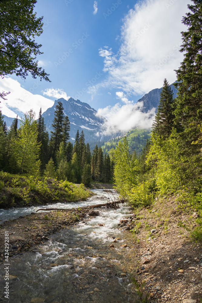 upper mcdonald creek with mountain background, glacier national park, montana upper mcdonald creek with mountain background, glacier national park, montana