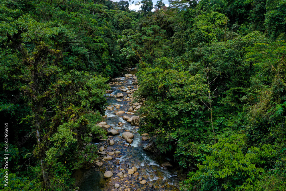 Aerial view of a mountain river in the tropics full of boulders and surrounded by tropical forest
