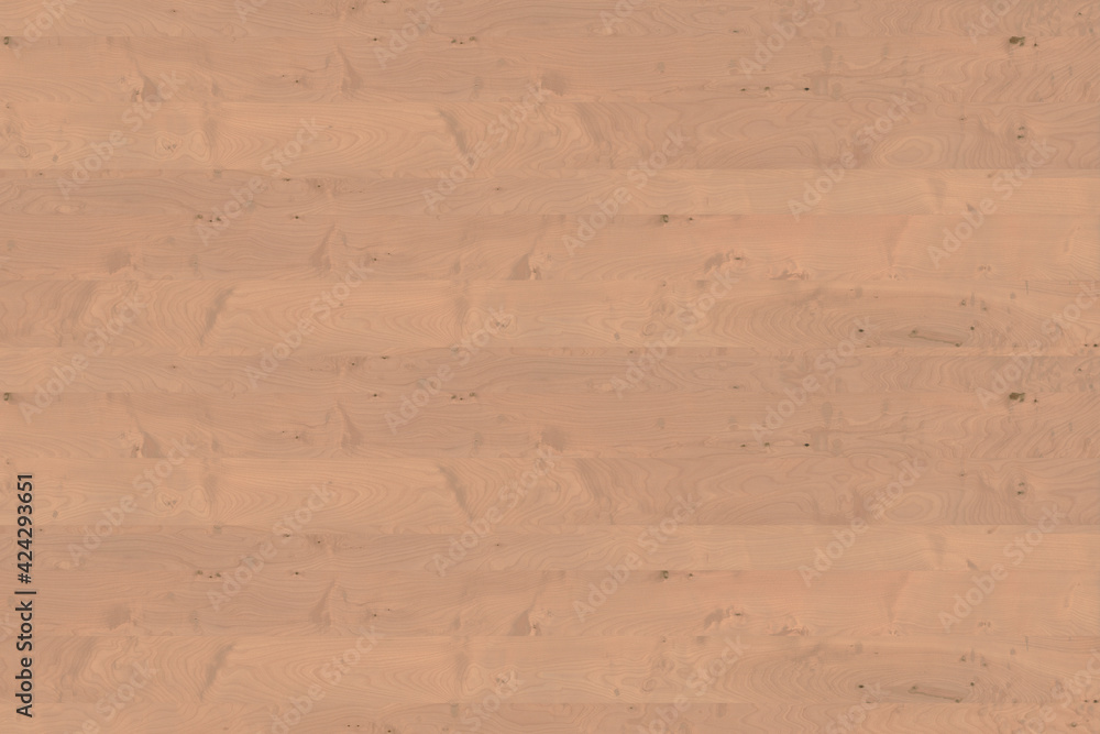 Obraz premium birch wooden background texture structure backdrop