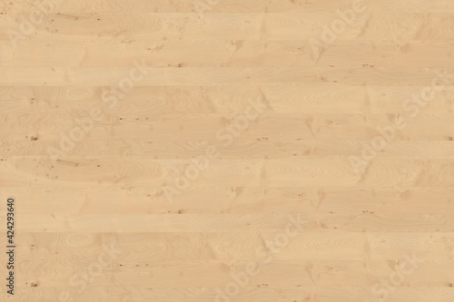 birch wooden background texture structure backdrop