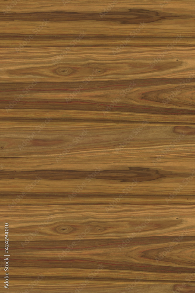 brown wooden tree timber background texture structure backdrop high size brown wooden tree timber background texture structure backdrop high size