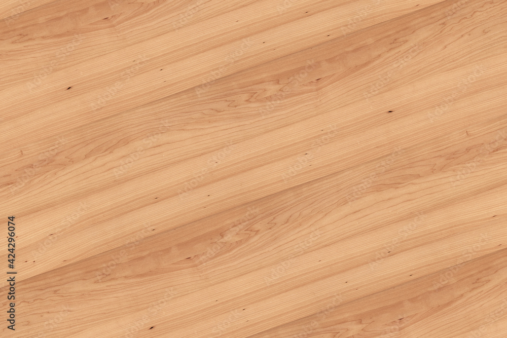 maple tree timber background texture structure surface maple tree timber background texture structure surface