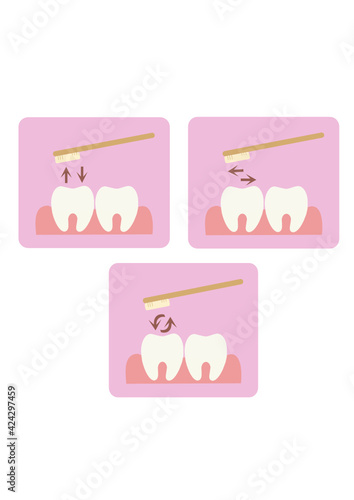 Vector illustration of teeth on a pink background. Teeth cleaning scheme. Proper dental care. Teeth and toothbrush. Correct direction of the toothbrush when brushing your teeth. Dentistry.