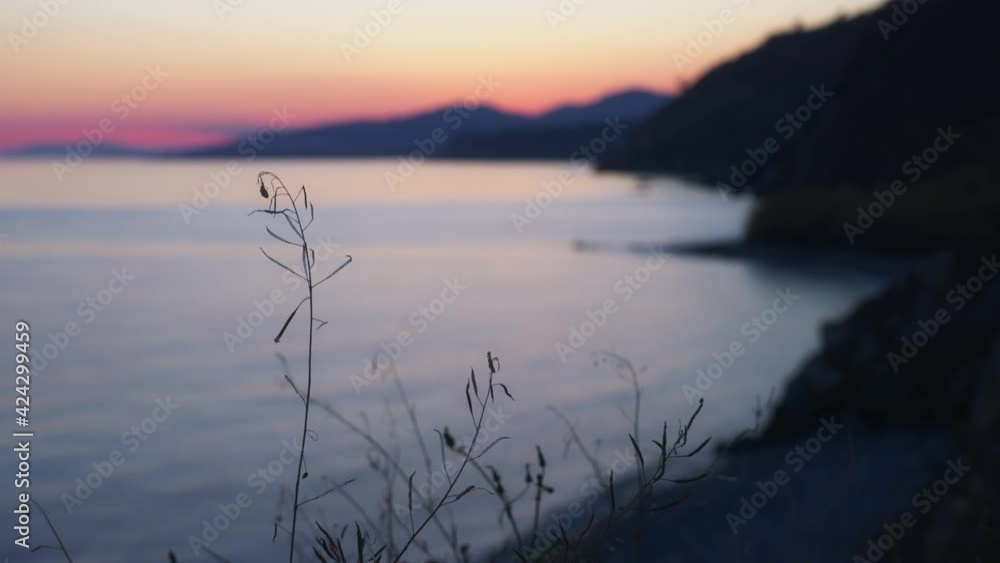 Focus shift from dry leafs into the background, evening on the Mediterranean sea Focus shift from dry leafs into the background, evening on the Mediterranean sea
