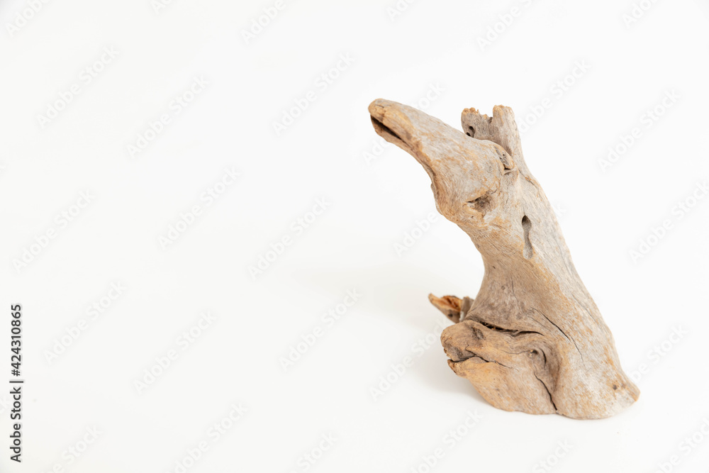 troncos de madera en fondo blanco para recorte y adorno máxima calidad troncos de madera en fondo blanco para recorte y adorno máxima calidad