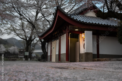 japanese temple © Cristian