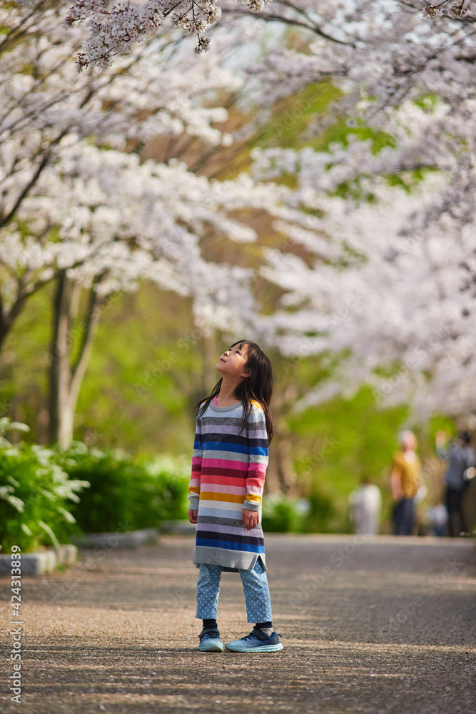 春の桜満開の公園で花見している可愛い子供の様子