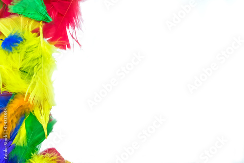 Bright colorful feathers on a white background. 