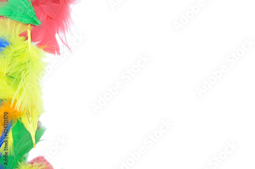 Colorful feathers on a white background 