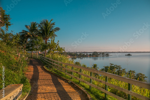 beach with trees