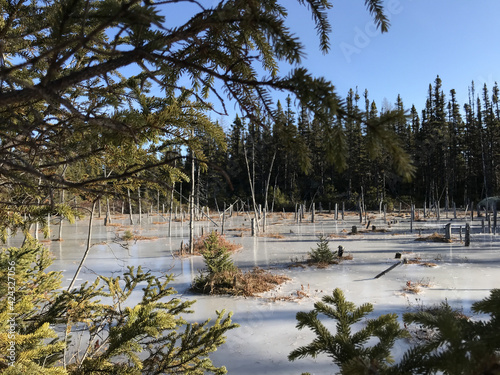 Obraz na plátně L'étang gelé- Longue-Pointe-de-Mingan