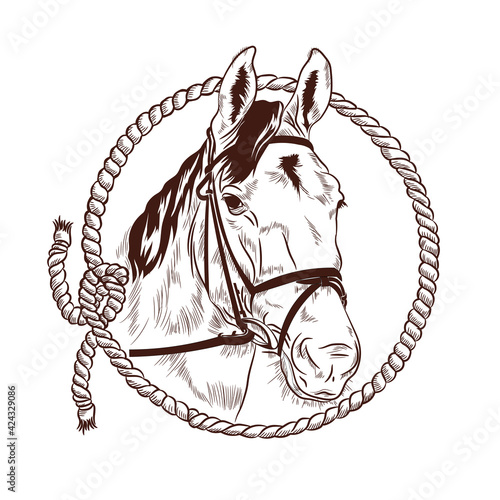 Horse head and rope vector illustration. perfect for ranch and stable logo