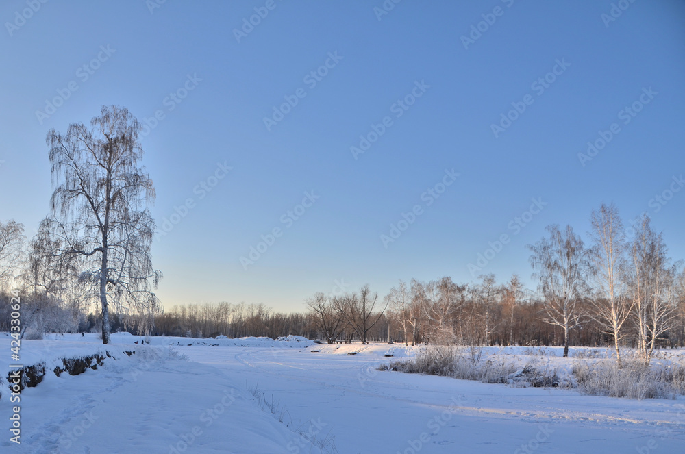 Winter Siberian forest, Omsk region