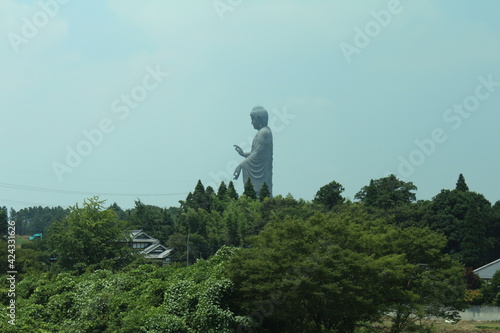 Giant Buddha Statue Over Trees