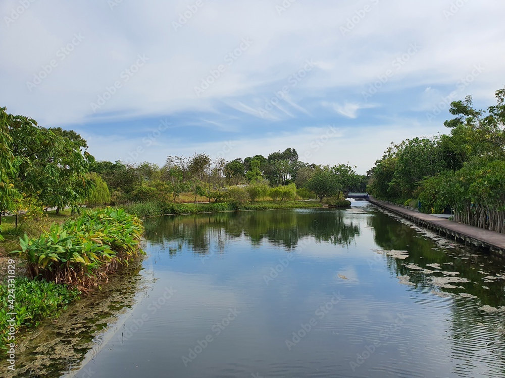 Obraz premium lake in the park