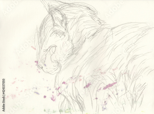 sketch of a horse