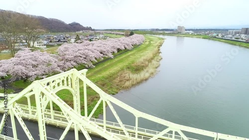 岩手県北上市 展勝地 桜　Japan Iwate Kitakami Tenshōchi 　Sakura Cherry Blossoms photo