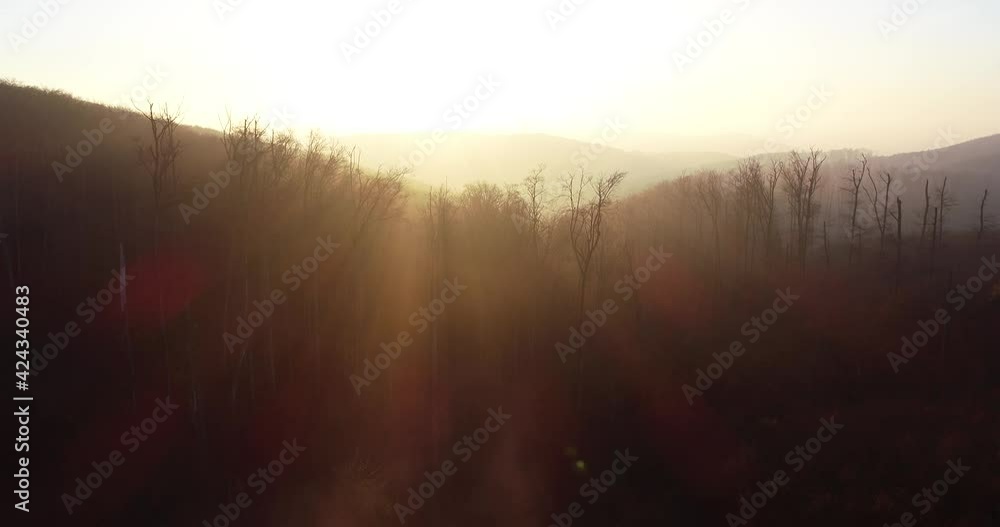 Aerial Drone flight through the fog into the sunrise over a small forest area Aerial Drone flight through the fog into the sunrise over a small forest area