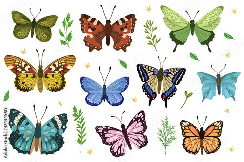 Butterfly vector collection with various leaves and twigs