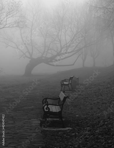 bench in the mist