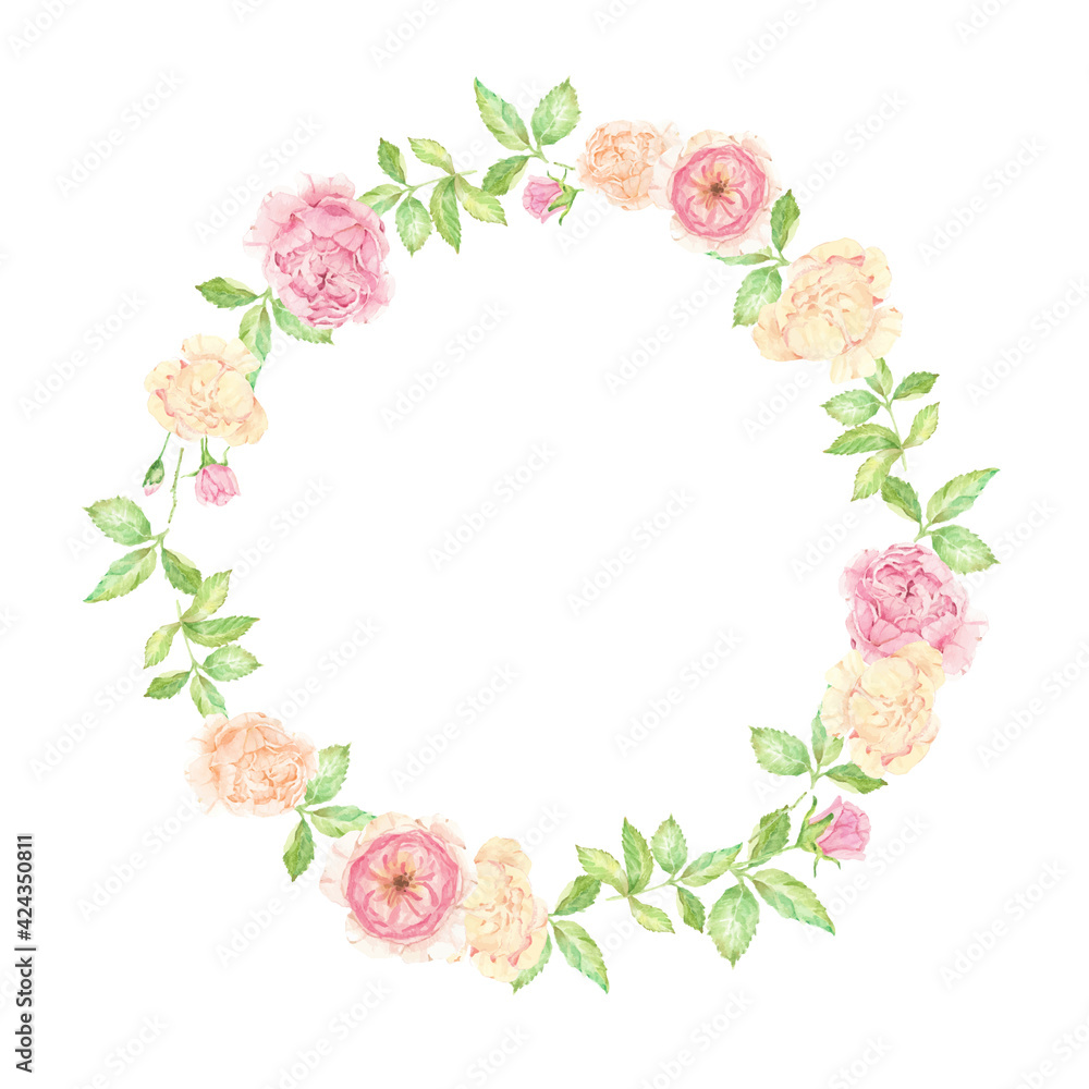 watercolor beautiful English rose flower bouquet wreath frame isolated on white background