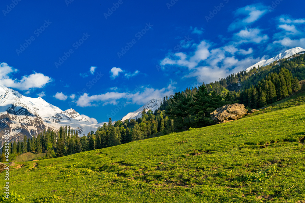 Alpine meadow in the mountains. These are the scenic meadows of the Himalayas. Peaks and alpine landscape from the trail of Sar Pass trek Himalayan region of Kasol, Himachal Pradesh, India.