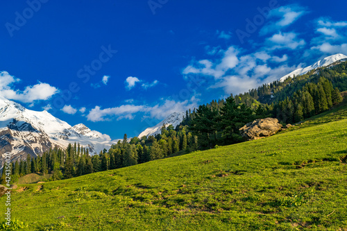 Alpine meadow in the mountains. These are the scenic meadows of the Himalayas. Peaks and alpine landscape from the trail of Sar Pass trek Himalayan region of Kasol, Himachal Pradesh, India. © shekhar