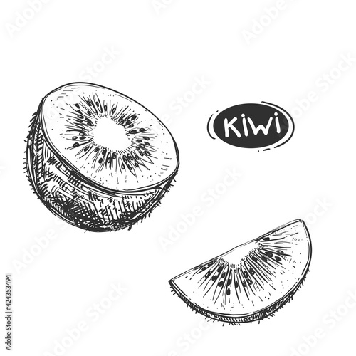 Hand drawn sketch black and white kiwi fruit, slice. Vector illustration. Elements in graphic style label, card, sticker, menu, package. Engraved style illustration.