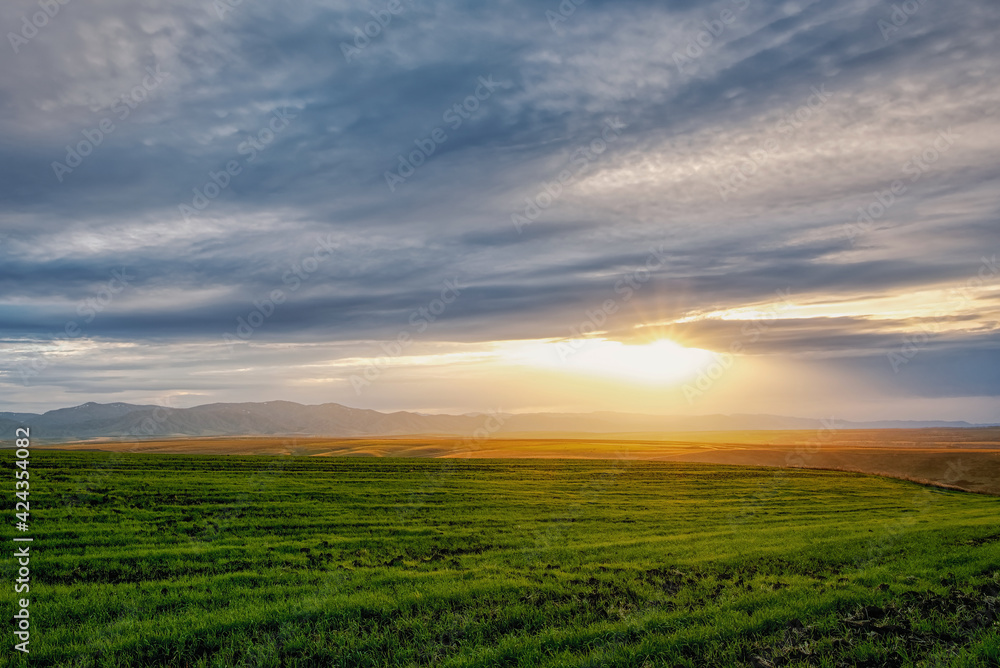 Sunset light among the clouds and green fields with crops in the foothills, Belokurikha