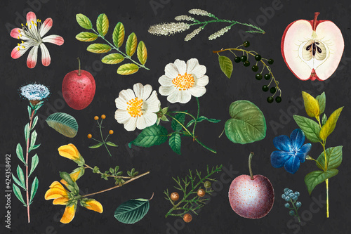 Fotografie Fruit and flower vintage set hand-drawn illustration