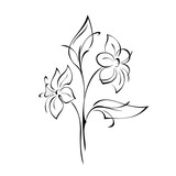ornament 1666. two stylized blooming flowers with large petals on stems with leaves in black lines on a white background