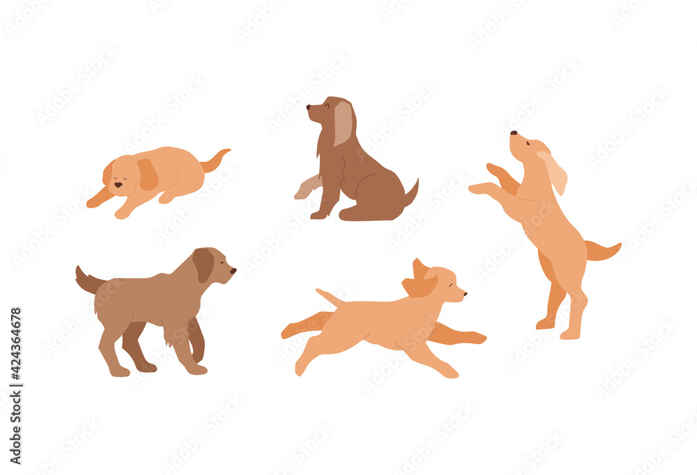 Domestic redhead and brown dogs set. Collection of pets. Cute puppy runs, sleep, walking and play. Different poses, vector illustration isolated on white background