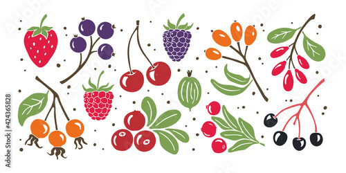 Bright and juicy berry set. Colorful illustration isolated on transparent background