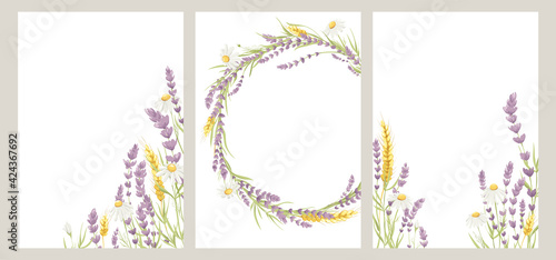 Birthday or Wedding invitation cards. Vector design element, wreaths of lavender, chamomile and wheat ears, medicinal herbs, calligraphy lettering.	