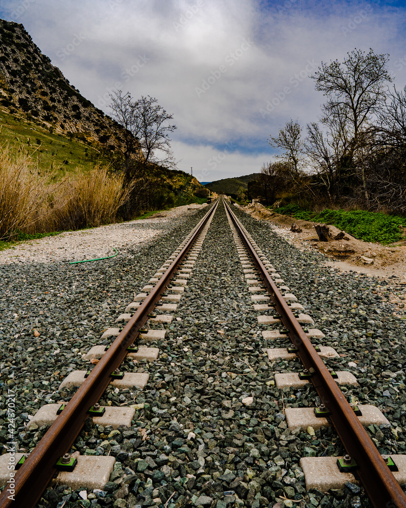 Fototapeta premium Railway to sky in rural countryside 