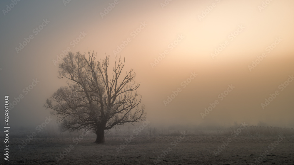 misty morning sunrise