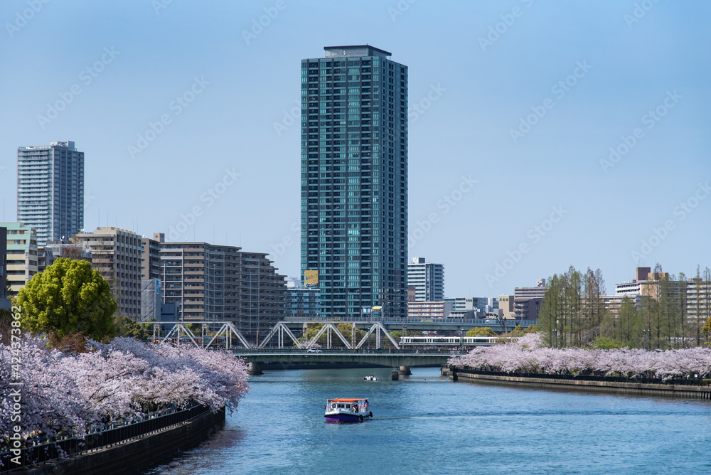大川沿いの桜と高層ビル