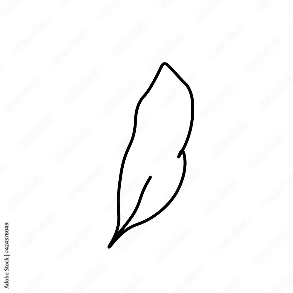 Vector minimalist plant leaf with a black line.One Summer simple hand drawn illustration on white isolated background in doodle style.Design for packaging,websites,social media,posters,postcards. Vector minimalist plant leaf with a black line.One Summer simple hand drawn illustration on white isolated background in doodle style.Design for packaging,websites,social media,posters,postcards.