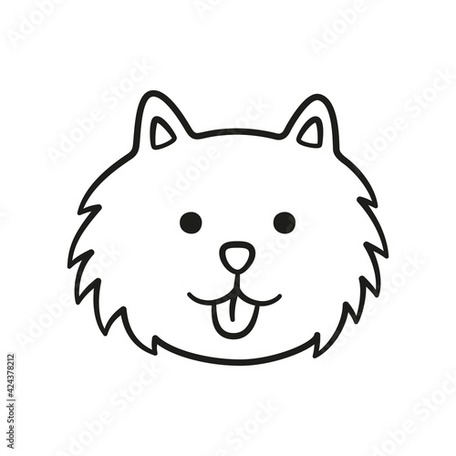Cute Pomeranian Spitz face. German spitz dog head icon. Hand drawn isolated vector illustration in doodle style on white background