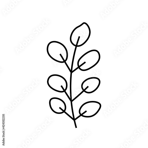 Vector minimalist plant eucalyptus leaf with a black line.One autumn simple hand drawn illustration on white isolated background in doodle style.Design for packaging social media posters postcards.