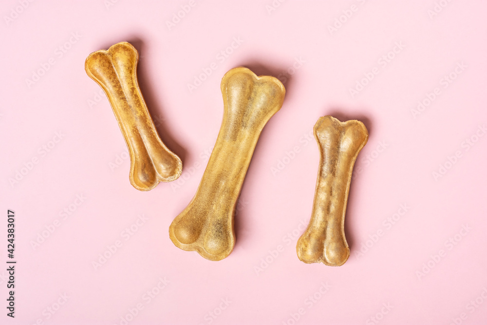 bone for dogs isolated on pink background Top view Flat lay Delicious treat for your beloved pet Food for animals concept bone for dogs isolated on pink background Top view Flat lay Delicious treat for your beloved pet Food for animals concept
